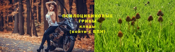 мяу мяу мука Алексеевка