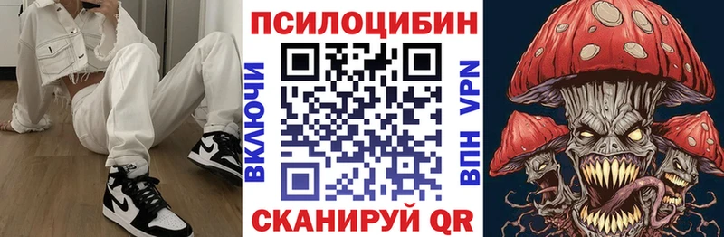 Купить закладки  Новоульяновск  Галлюциногенные грибы MAGIC MUSHROOMS 